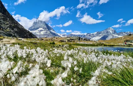 Zermatt