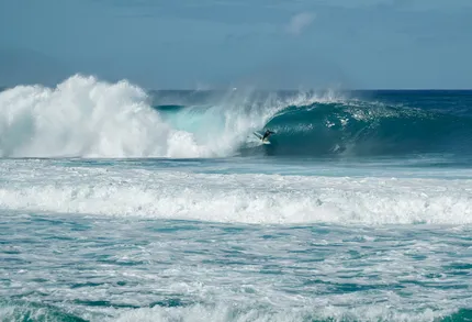 surfing2